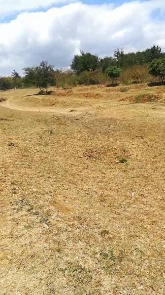 Sophia Prime Plots (50*100) — thika