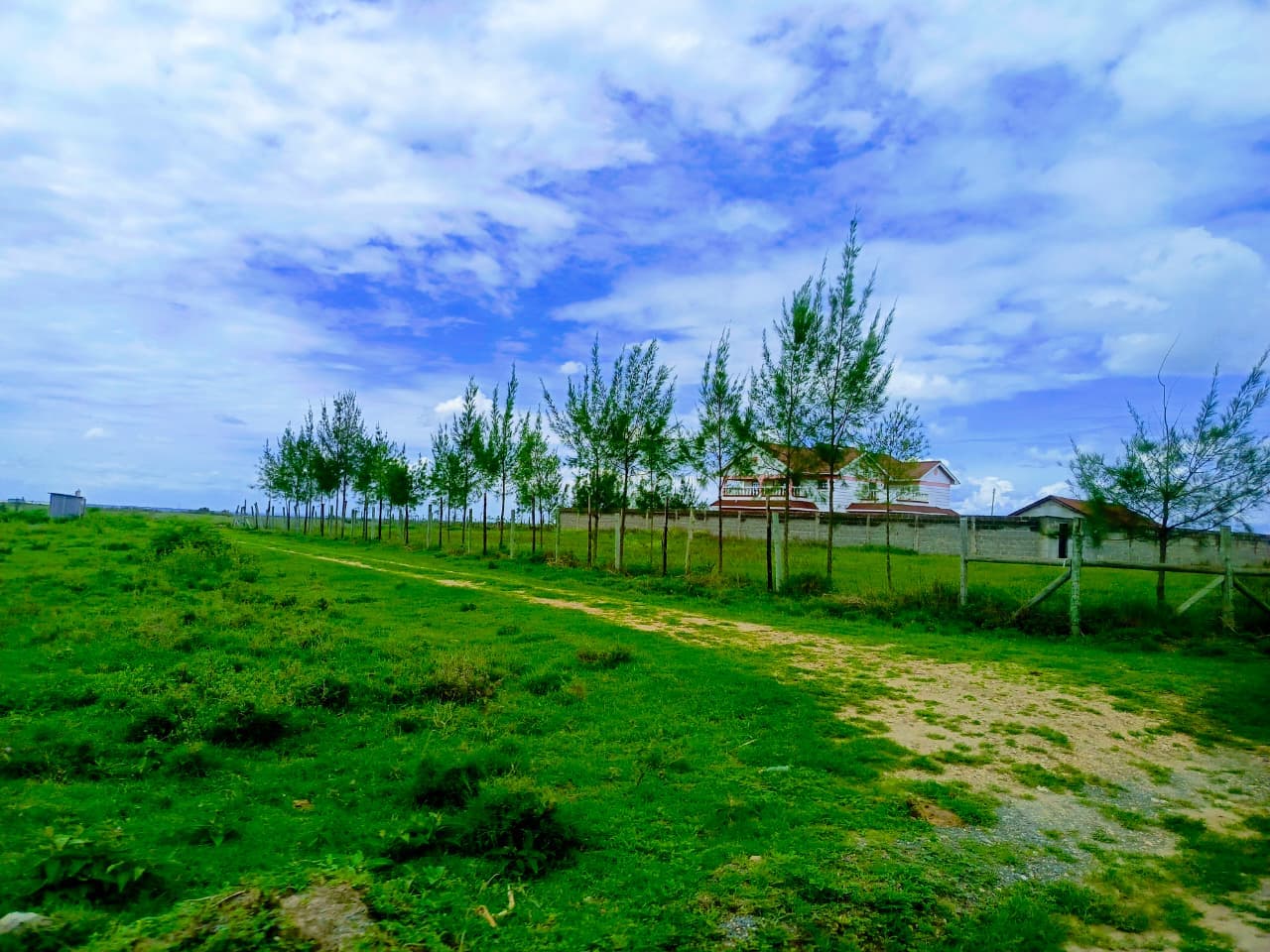 Kithimani Market Plots (50*100) — kimanthi